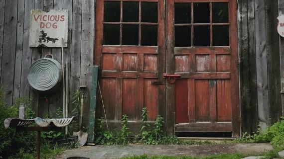 Backroad Bounty